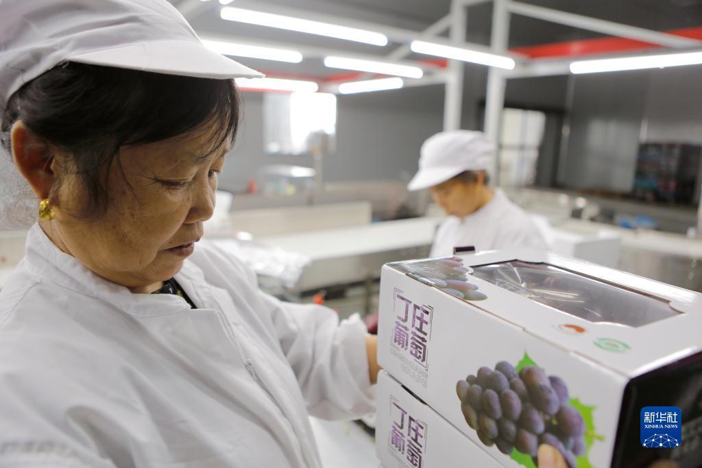 乐虎国际电子游戏官网